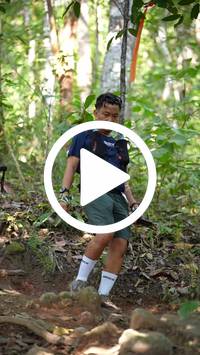 BIB:  <button type="button" onclick="openModal(27577631)" class="btn btn-primary btn-sm float-right" data-toggle="modal" data-target=".modal-high-quality">
                <i class="fa fa-download"></i> Download
                </button>